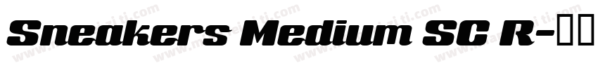 Sneakers Medium SC R字体转换